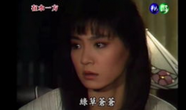 电视剧歌曲大全,旋律中的情感之旅